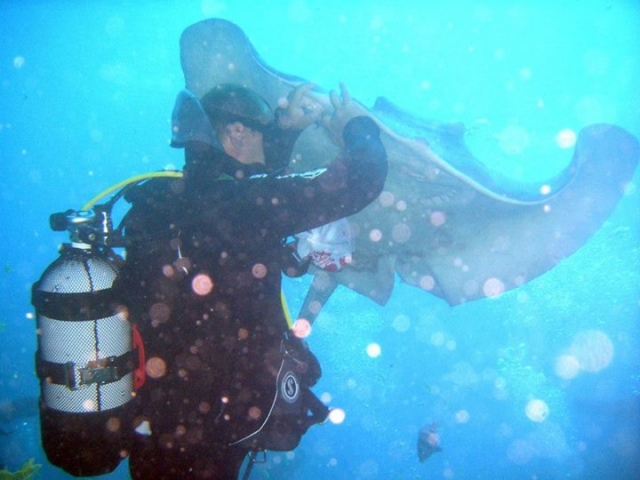Diving -Ausgabe